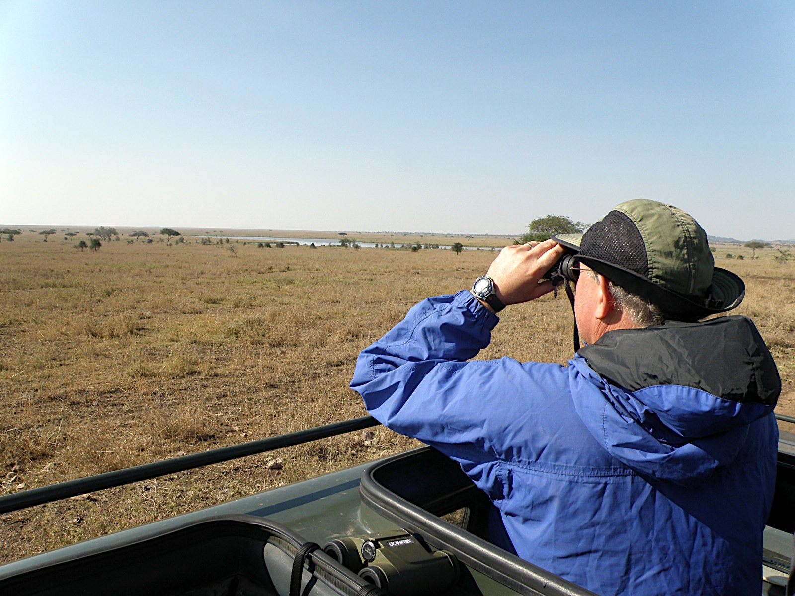 comment devenir guide de safari