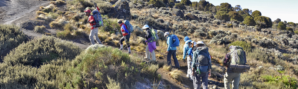 Climbers group on Kilimanjaro
