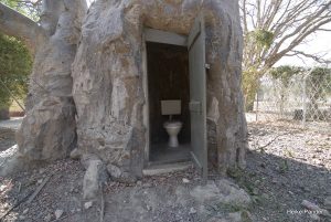 Baobab Toilet Caprivi