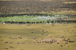 Ngorongoro crater