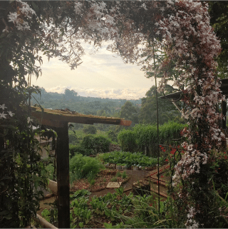 View on the Kilimanjaro foothills from Mbahe Farm cottages